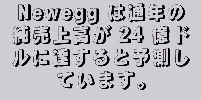 Newegg は通年の純売上高が 24 億ドルに達すると予測しています。