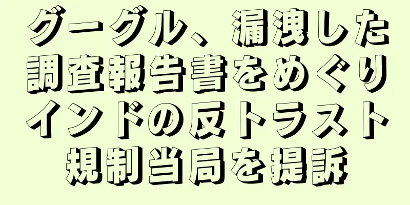 グーグル、漏洩した調査報告書をめぐりインドの反トラスト規制当局を提訴