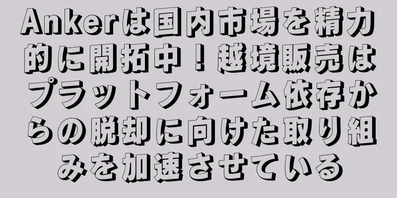 Ankerは国内市場を精力的に開拓中！越境販売はプラットフォーム依存からの脱却に向けた取り組みを加速させている