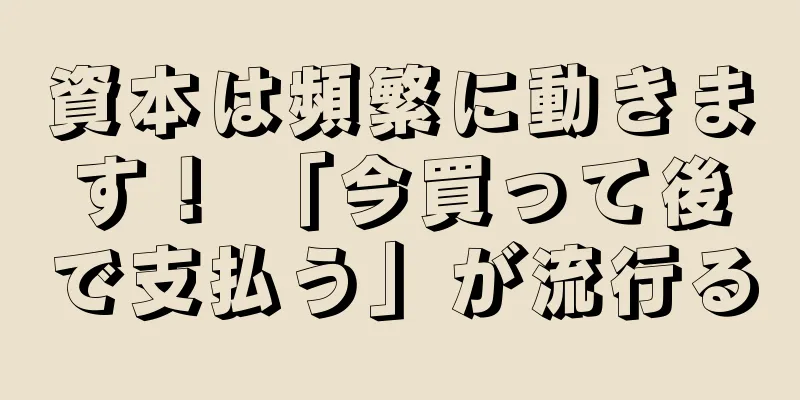 資本は頻繁に動きます！ 「今買って後で支払う」が流行る