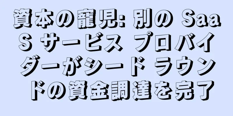 資本の寵児: 別の SaaS サービス プロバイダーがシード ラウンドの資金調達を完了