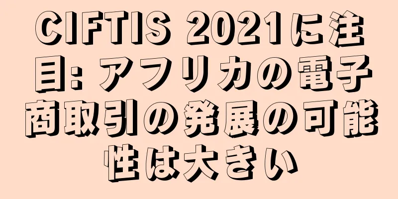 CIFTIS 2021に注目: アフリカの電子商取引の発展の可能性は大きい