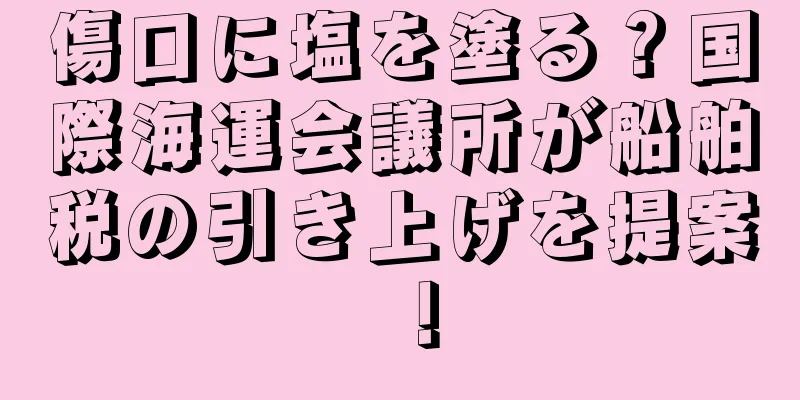 傷口に塩を塗る？国際海運会議所が船舶税の引き上げを提案！