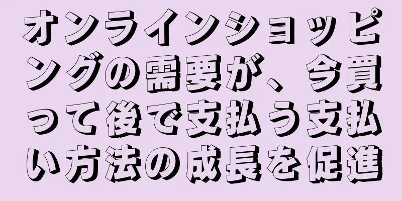 オンラインショッピングの需要が、今買って後で支払う支払い方法の成長を促進