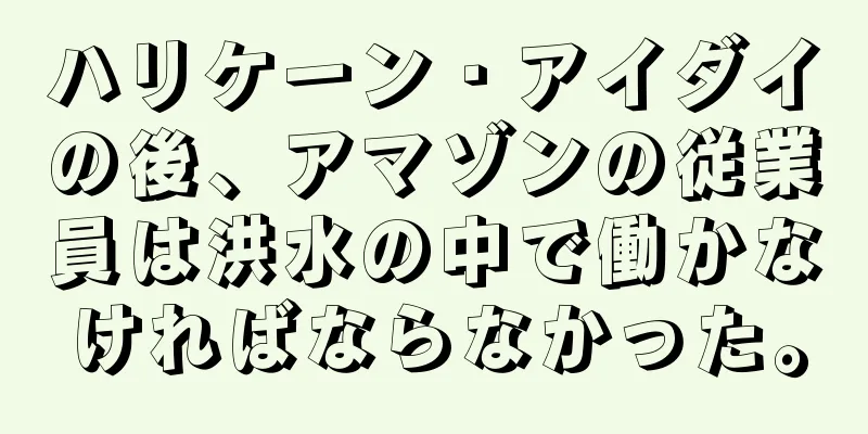 ハリケーン・アイダイの後、アマゾンの従業員は洪水の中で働かなければならなかった。