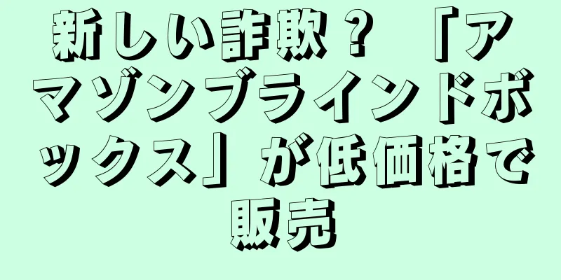 新しい詐欺？ 「アマゾンブラインドボックス」が低価格で販売