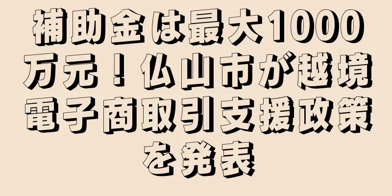 補助金は最大1000万元！仏山市が越境電子商取引支援政策を発表
