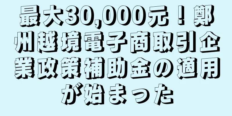 最大30,000元！鄭州越境電子商取引企業政策補助金の適用が始まった