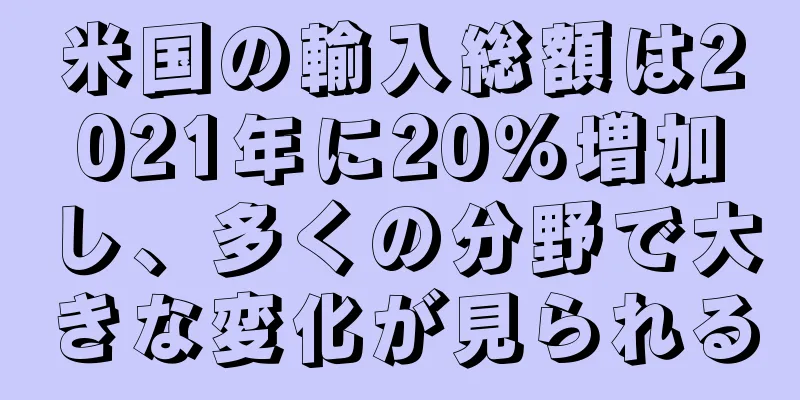 米国の輸入総額は2021年に20％増加し、多くの分野で大きな変化が見られる