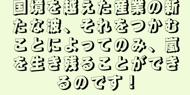 国境を越えた産業の新たな波、それをつかむことによってのみ、嵐を生き残ることができるのです！