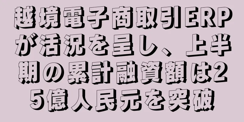 越境電子商取引ERPが活況を呈し、上半期の累計融資額は25億人民元を突破