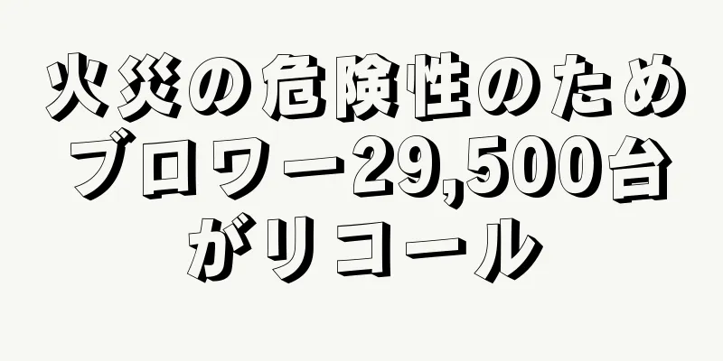 火災の危険性のためブロワー29,500台がリコール