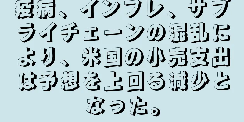 疫病、インフレ、サプライチェーンの混乱により、米国の小売支出は予想を上回る減少となった。