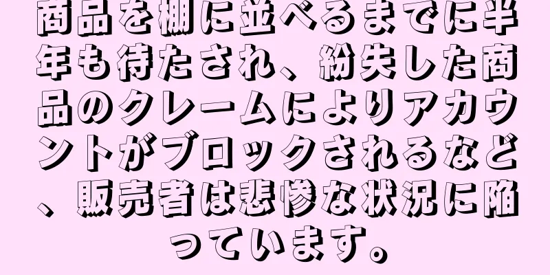 商品を棚に並べるまでに半年も待たされ、紛失した商品のクレームによりアカウントがブロックされるなど、販売者は悲惨な状況に陥っています。