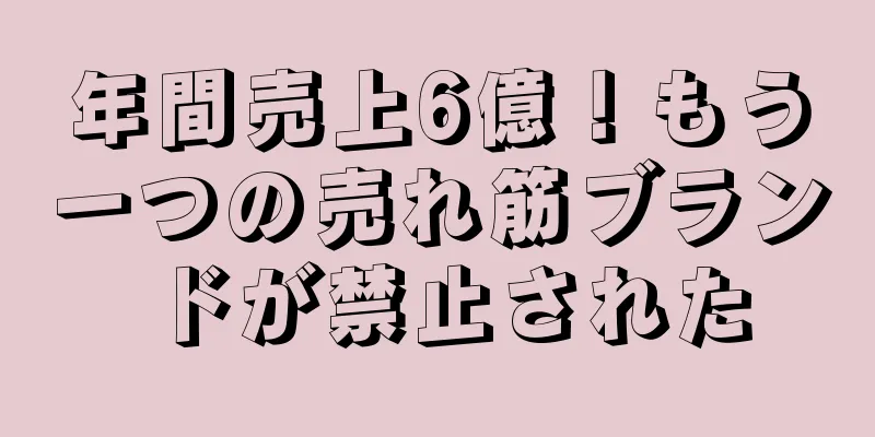 年間売上6億！もう一つの売れ筋ブランドが禁止された