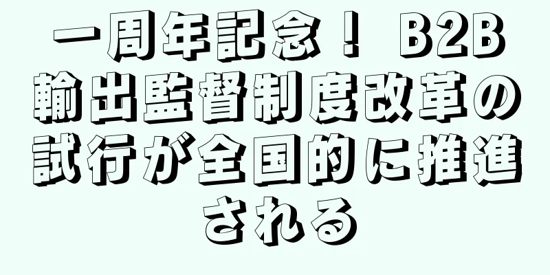 一周年記念！ B2B輸出監督制度改革の試行が全国的に推進される