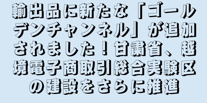 輸出品に新たな「ゴールデンチャンネル」が追加されました！甘粛省、越境電子商取引総合実験区の建設をさらに推進