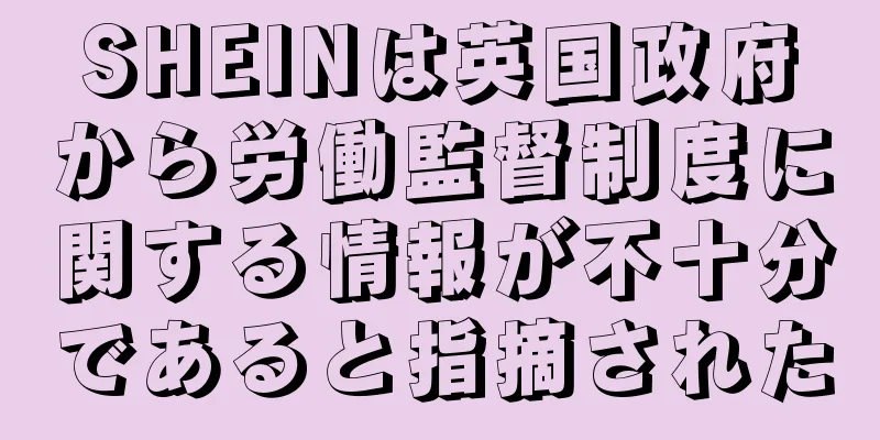 SHEINは英国政府から労働監督制度に関する情報が不十分であると指摘された
