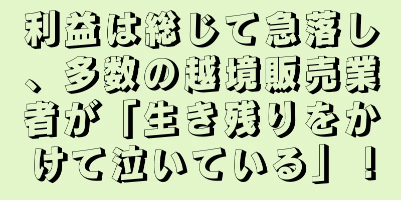 利益は総じて急落し、多数の越境販売業者が「生き残りをかけて泣いている」！