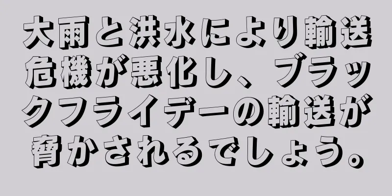 大雨と洪水により輸送危機が悪化し、ブラックフライデーの輸送が脅かされるでしょう。