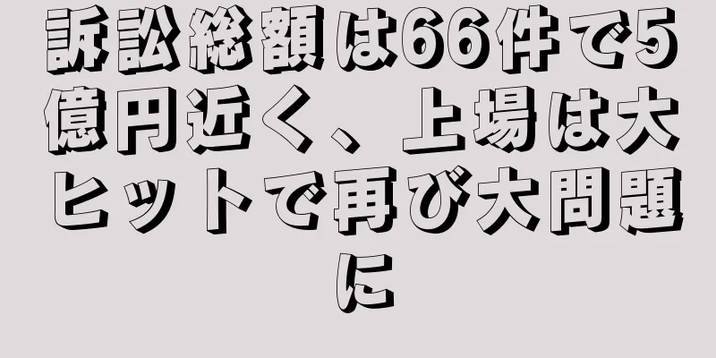訴訟総額は66件で5億円近く、上場は大ヒットで再び大問題に