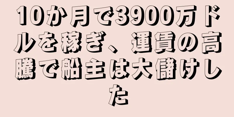 10か月で3900万ドルを稼ぎ、運賃の高騰で船主は大儲けした
