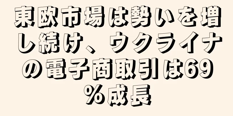 東欧市場は勢いを増し続け、ウクライナの電子商取引は69%成長