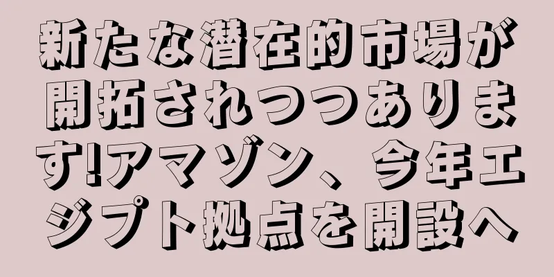 新たな潜在的市場が開拓されつつあります!アマゾン、今年エジプト拠点を開設へ