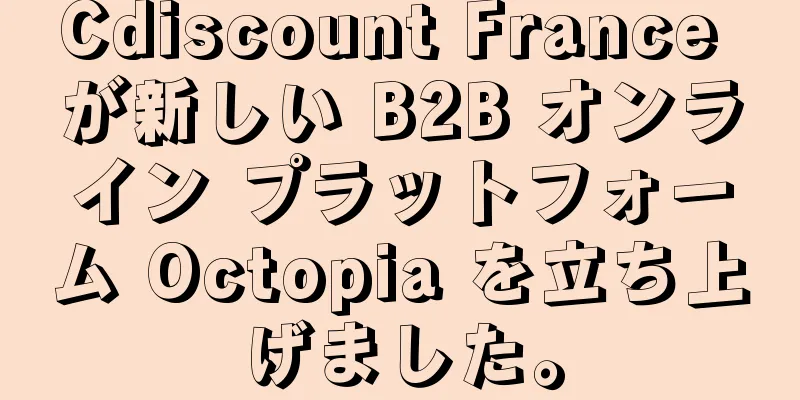 Cdiscount France が新しい B2B オンライン プラットフォーム Octopia を立ち上げました。