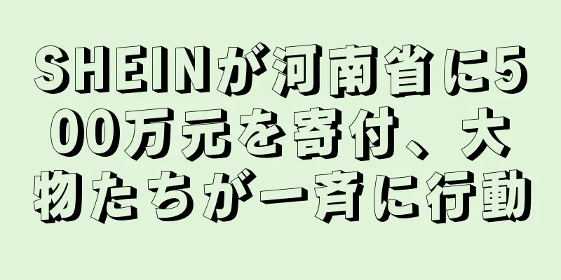 SHEINが河南省に500万元を寄付、大物たちが一斉に行動
