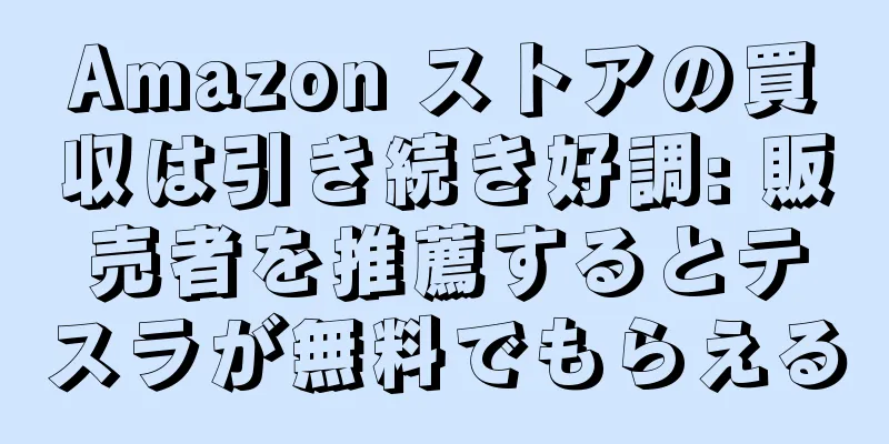Amazon ストアの買収は引き続き好調: 販売者を推薦するとテスラが無料でもらえる