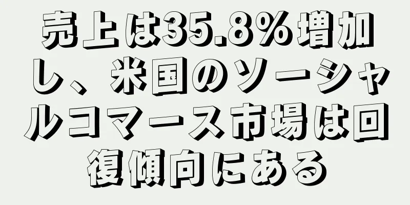 売上は35.8%増加し、米国のソーシャルコマース市場は回復傾向にある