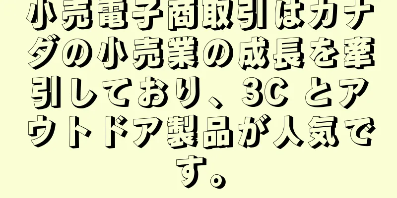 小売電子商取引はカナダの小売業の成長を牽引しており、3C とアウトドア製品が人気です。
