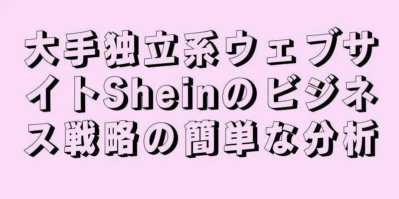 大手独立系ウェブサイトSheinのビジネス戦略の簡単な分析