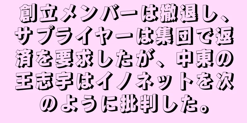 創立メンバーは撤退し、サプライヤーは集団で返済を要求したが、中東の王志宇はイノネットを次のように批判した。