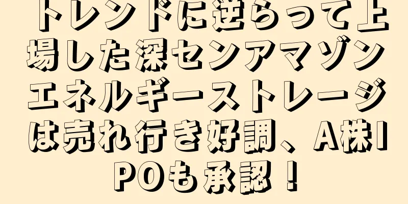 トレンドに逆らって上場した深センアマゾンエネルギーストレージは売れ行き好調、A株IPOも承認！