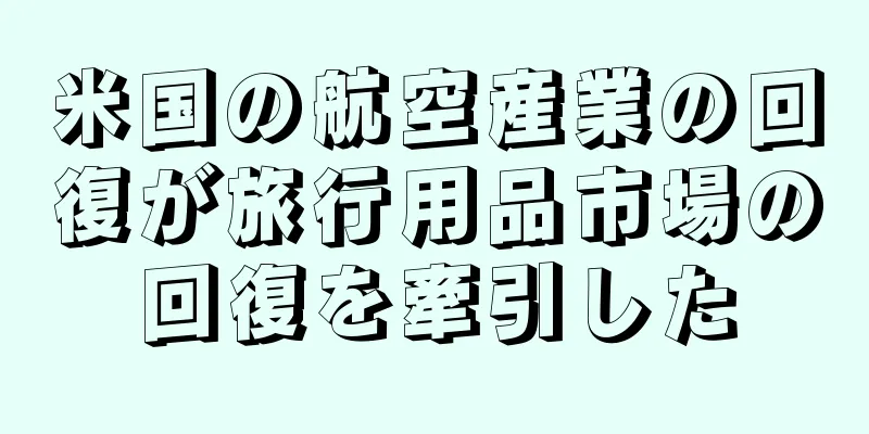 米国の航空産業の回復が旅行用品市場の回復を牽引した