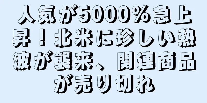人気が5000%急上昇！北米に珍しい熱波が襲来、関連商品が売り切れ