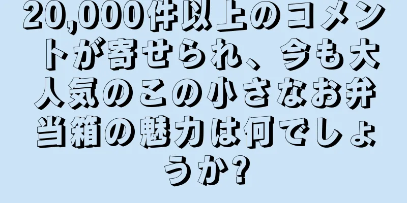 20,000件以上のコメントが寄せられ、今も大人気のこの小さなお弁当箱の魅力は何でしょうか?
