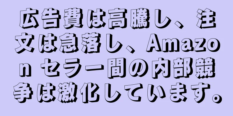 広告費は高騰し、注文は急落し、Amazon セラー間の内部競争は激化しています。