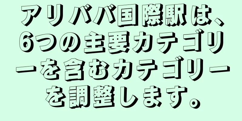 アリババ国際駅は、6つの主要カテゴリーを含むカテゴリーを調整します。