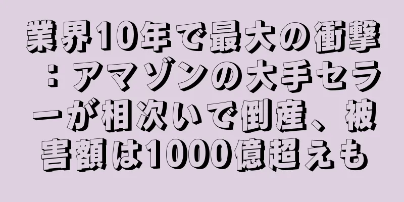 業界10年で最大の衝撃：アマゾンの大手セラーが相次いで倒産、被害額は1000億超えも