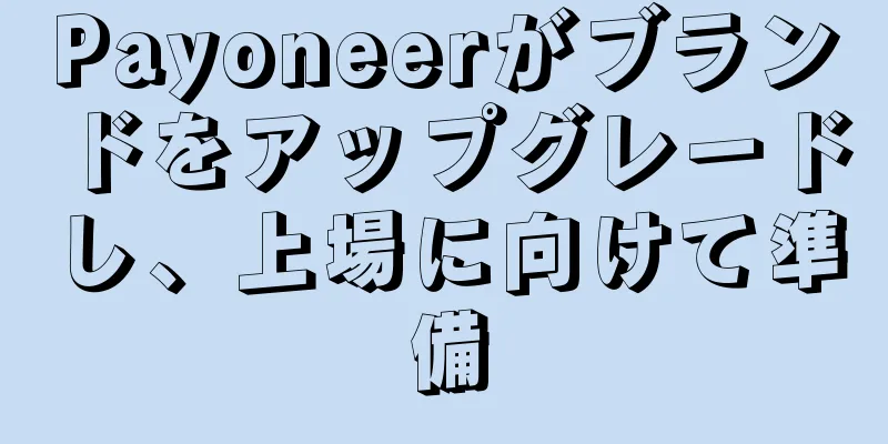 Payoneerがブランドをアップグレードし、上場に向けて準備