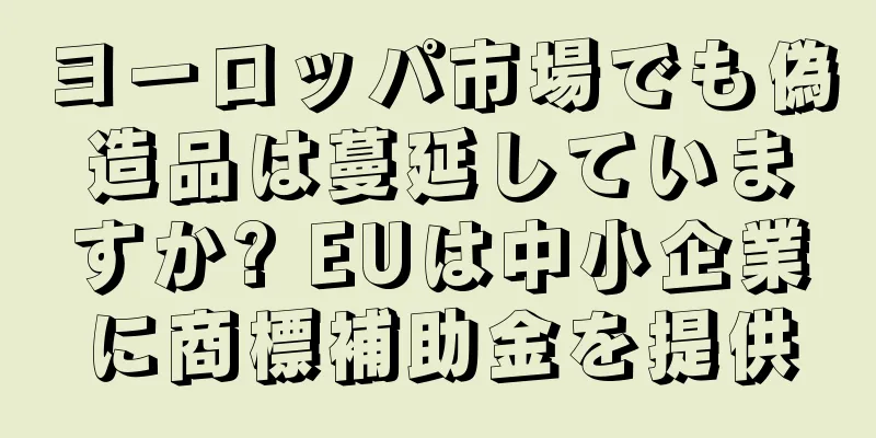 ヨーロッパ市場でも偽造品は蔓延していますか? EUは中小企業に商標補助金を提供