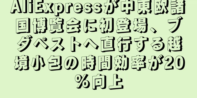 AliExpressが中東欧諸国博覧会に初登場、ブダペストへ直行する越境小包の時間効率が20%向上