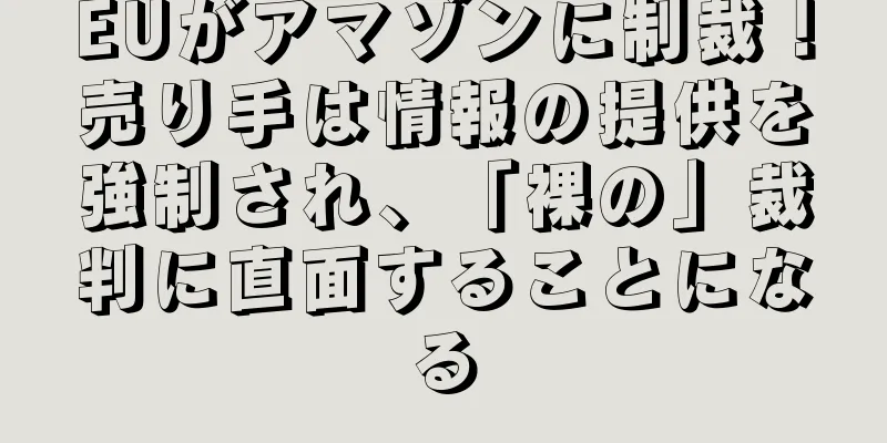 EUがアマゾンに制裁！売り手は情報の提供を強制され、「裸の」裁判に直面することになる