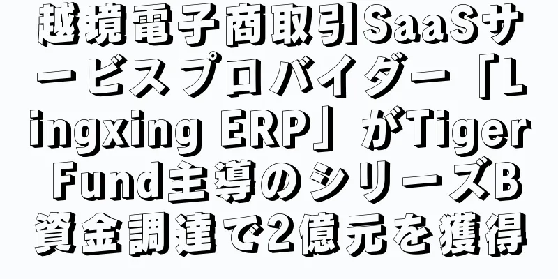 越境電子商取引SaaSサービスプロバイダー「Lingxing ERP」がTiger Fund主導のシリーズB資金調達で2億元を獲得