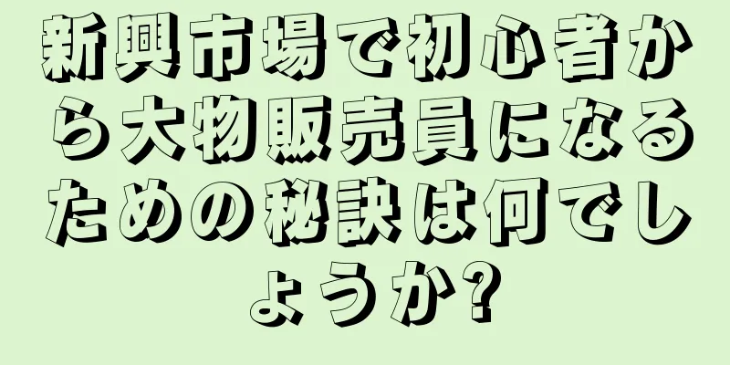 新興市場で初心者から大物販売員になるための秘訣は何でしょうか?