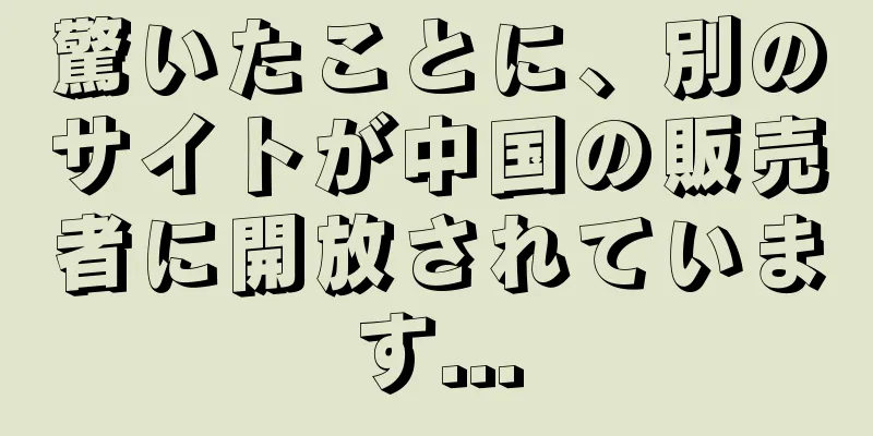 驚いたことに、別のサイトが中国の販売者に開放されています...