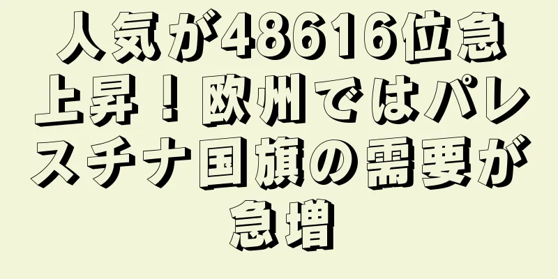 人気が48616位急上昇！欧州ではパレスチナ国旗の需要が急増